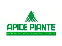 Apice Piante