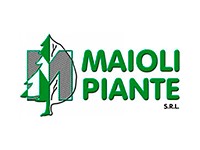 Maioli Piante