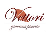 Vettori Giovani Piante