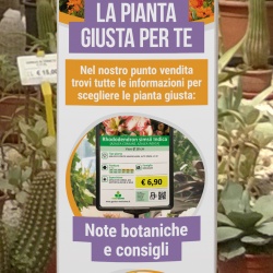 Dettaglio totem  “La pianta giusta per te