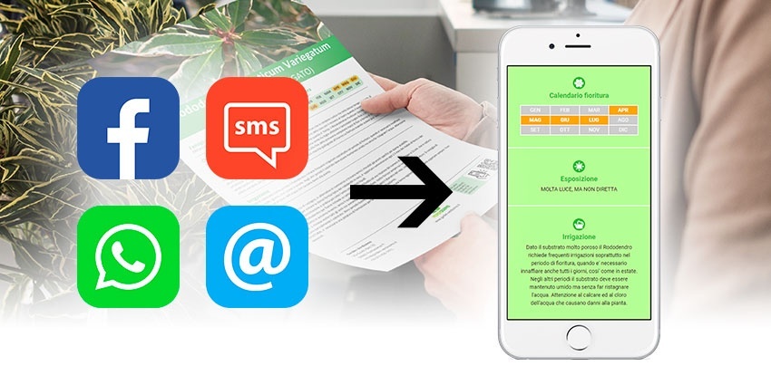 Con Botanica on Web e WhatsApp consegni la scheda botanica ai tuoi clienti!
