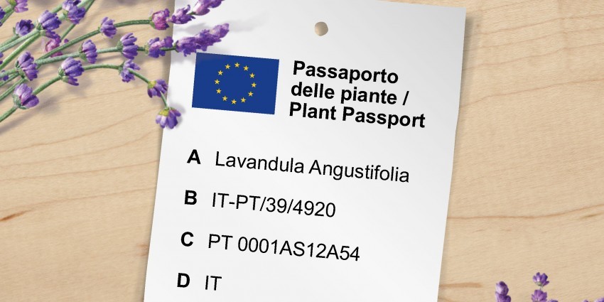 Sei pronto per il nuovo passaporto delle piante?
