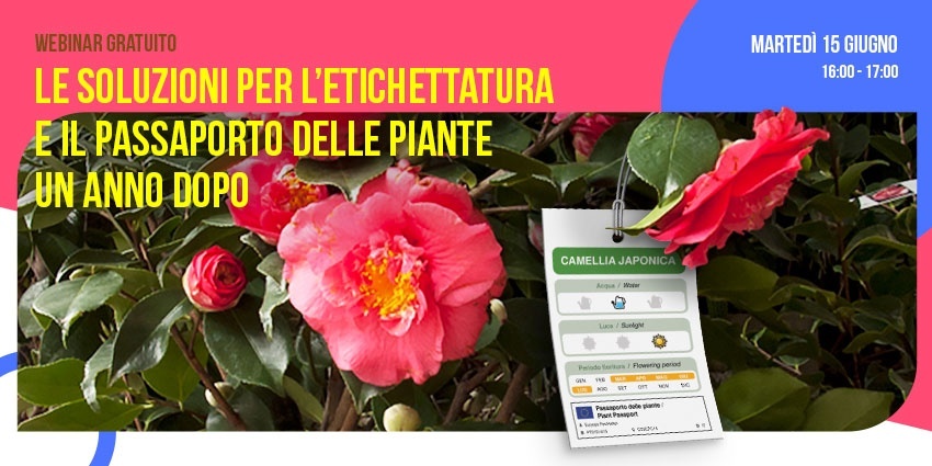 Webinar gratuito 