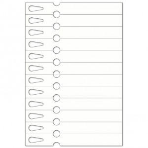 ETICH. LASER ASOLA 12 - 21,3 X 2,5 CM - 12 ETICHETTE PER PAGINA 150μ